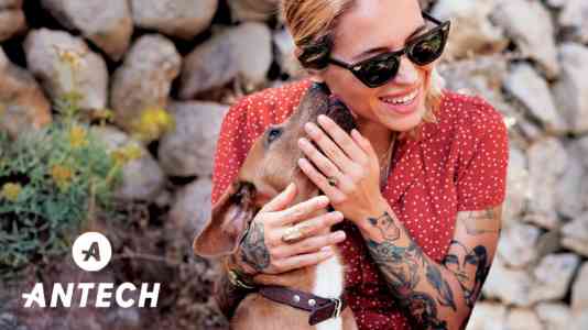 Brown dog licks a blonde, tattooed woman on the ear. White Antech logo is in the lower left corner.
