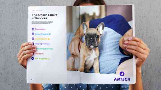 A light-skinned person holds up Antech's brand guidelines, opened to the page detailing the brand's family of services.